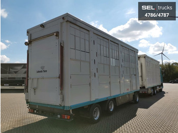 Caminhão transporte de gado DAF XF 105.460  / Intarder / 4 Stock / KOMPLETT !: foto 4