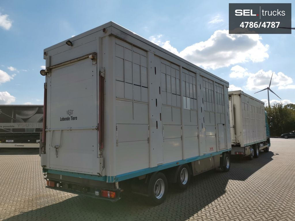 Caminhão transporte de gado DAF XF 105.460  / Intarder / 4 Stock / KOMPLETT !: foto 4