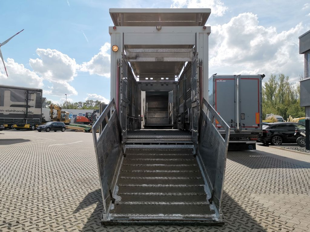 Caminhão transporte de gado DAF XF 105.460  / Intarder / 4 Stock / KOMPLETT !: foto 26