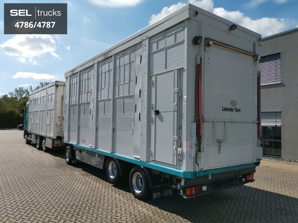 Caminhão transporte de gado DAF XF 105.460  / Intarder / 4 Stock / KOMPLETT !: foto 6