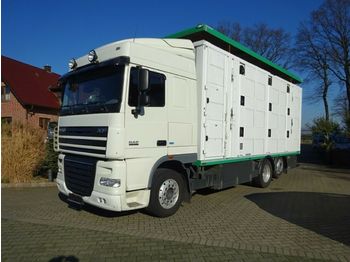 Caminhão transporte de gado DAF XF 105/460 SSC Menke 3 Stock Hubdach: foto 1