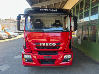Caminhão transporte de gado IVECO 140E28 Eurocargo: foto 5