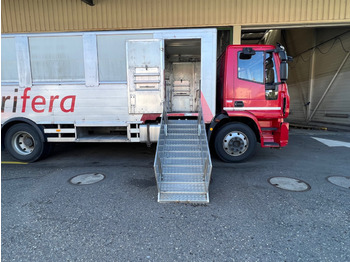 Caminhão transporte de gado IVECO 140E28 Eurocargo: foto 3