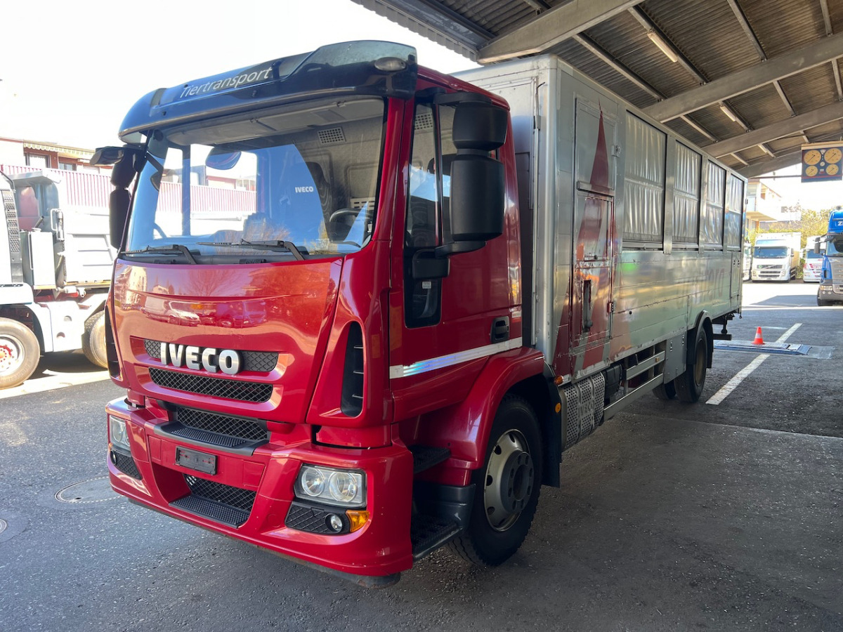 Caminhão transporte de gado IVECO 140E28 Eurocargo: foto 17