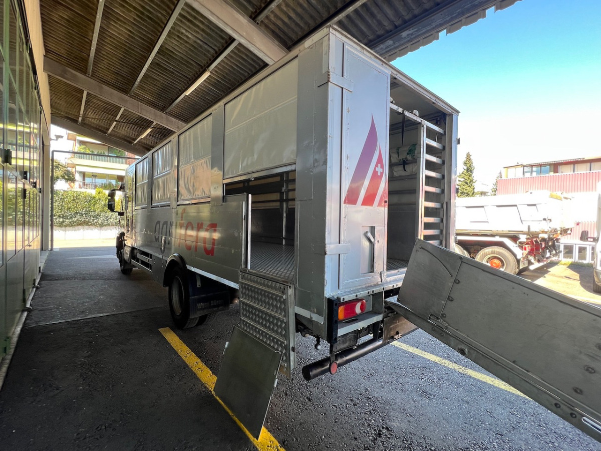 Caminhão transporte de gado IVECO 140E28 Eurocargo: foto 16