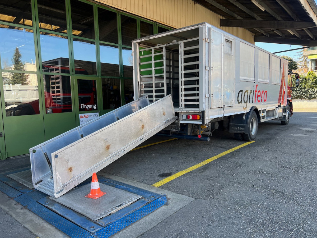 Caminhão transporte de gado IVECO 140E28 Eurocargo: foto 11