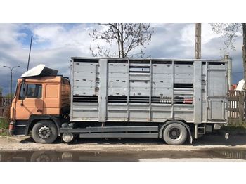 Caminhão transporte de gado MAN 19.372: foto 1