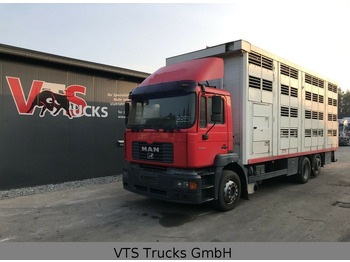 Caminhão transporte de gado MAN FE 360 4.Stock KABA Viehtransporter: foto 1