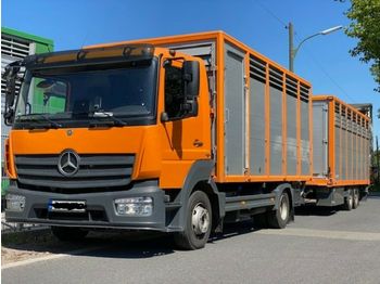 Caminhão transporte de gado Mercedes-Benz 824L Einstock Vollalu: foto 1