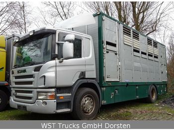 Caminhão transporte de gado Scania P 380 mitt Menke Doppelstock: foto 1