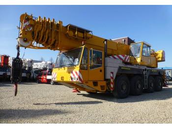 Guindaste todo-terreno Demag AC 205