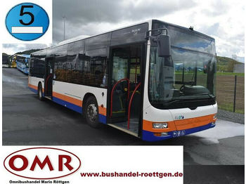 Ônibus urbano MAN A 21 Lion´s City / 530 / Citaro / A20: foto 1
