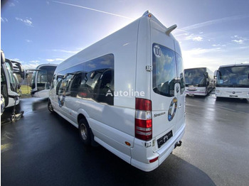 Micro-ônibus, Furgão de passageiros Mercedes Sprinter 519 CDI: foto 3