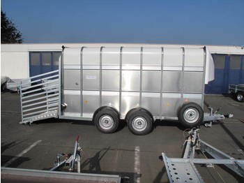 Reboque transporte de gado nuevo Ifor Williams TA510 427x178x214cm Rampe 3,5 t  VORLAUF: foto 1