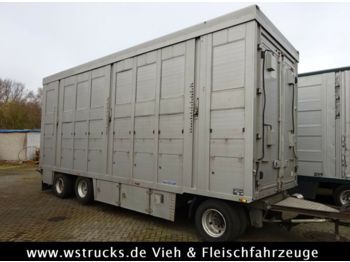 Reboque transporte de gado Menke 2 Stock Ausahrbares Dach Vollalu  7,50m: foto 1