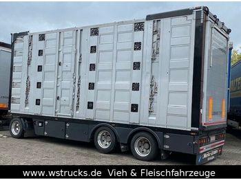 Reboque transporte de gado Menke 5 Stock Unfall Hubdach Vollalu Typ 2