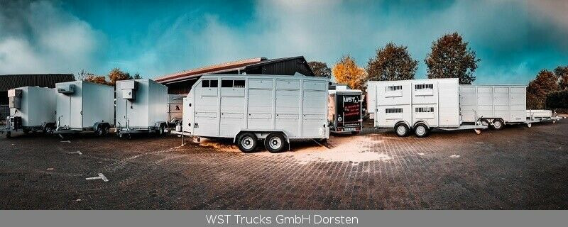 Reboque transporte de gado nuevo WST Edition  Voll ALU "NEU" Viehanhänger 3,5to: foto 6