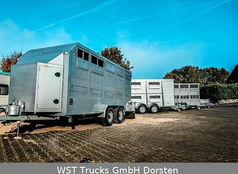 Reboque transporte de gado nuevo WST Edition  Voll ALU "NEU" Viehanhänger 3,5to: foto 7