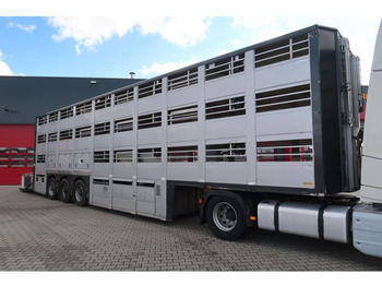 Semireboque transporte de gado