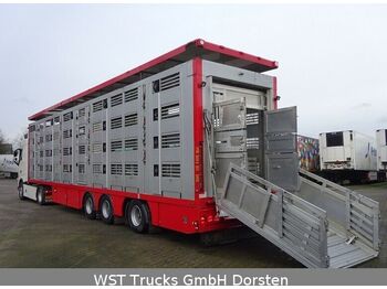 Semireboque transporte de gado Menke-Janzen Menke 4 Stock Lenk Lift Typ2 Lüfter Dusche Tränk: foto 1