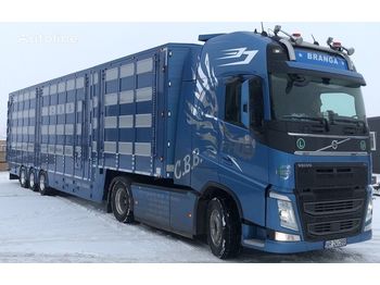 Semireboque transporte de gado para transporte de animais nuevo New PLAVAC 3+4: foto 1