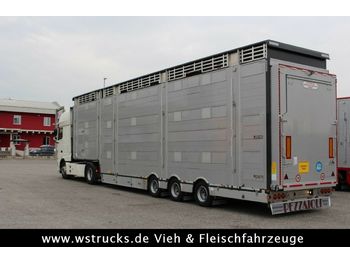 Semireboque transporte de gado Pezzaioli SBA31-SR  3 Stock  Vermietung: foto 1