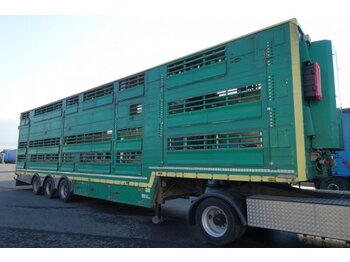 Semireboque transporte de gado Pezzaioli SBA32/U, 3 Stock , Viehtransporter  , Tränkeranlage,: foto 1