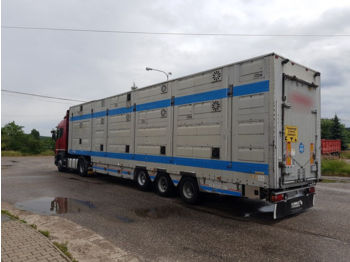 PEZZAIOLI  - Semireboque transporte de gado