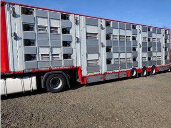 PEZZAIOLI SBA32U - Semireboque transporte de gado