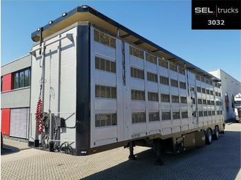 Pezzaioli Menke-Janzen / 4 Stock / Hudbach / Lenkachse  - Semireboque transporte de gado