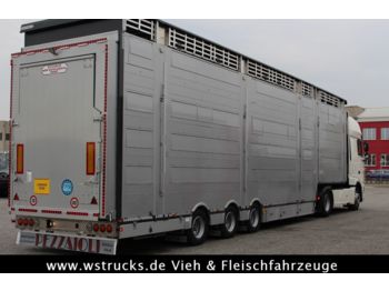 Pezzaioli SBA31-SR  3 Stock "Neu" Vermietung  - Semireboque transporte de gado