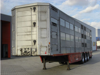 Pezzaioli SBA63U / 3 Achsen / BPW-Achsen / 3 Stock  - Semireboque transporte de gado