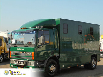 Caminhão para transporte de cavalos DAF CF 65 180