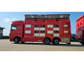 Caminhão transporte de gado DAF XF 105 510
