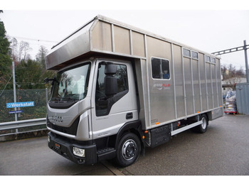Caminhão transporte de gado IVECO EuroCargo