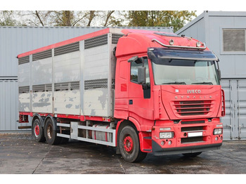 Caminhão transporte de gado IVECO Stralis