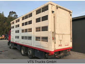 Caminhão transporte de gado MAN