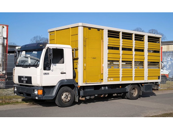 Caminhão transporte de gado MAN 12.224