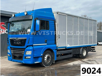 Caminhão transporte de gado MAN TGX 18.500