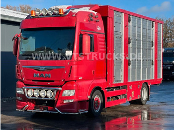 Caminhão transporte de gado MAN TGX 18.580