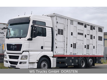 Caminhão transporte de gado MAN TGX 26.440