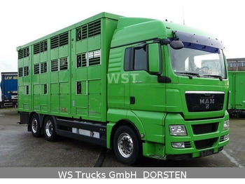 Caminhão transporte de gado MAN TGX 26.480