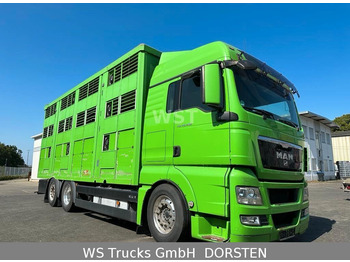 Caminhão transporte de gado MAN TGX 26.480