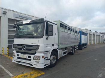 Caminhão transporte de gado MERCEDES-BENZ Actros