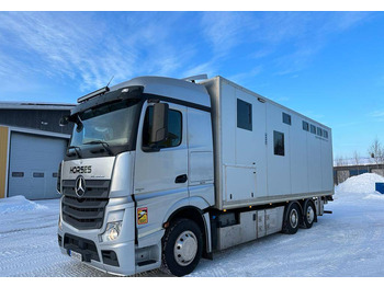 Caminhão transporte de gado MERCEDES-BENZ Actros