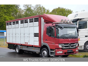 Caminhão transporte de gado MERCEDES-BENZ Atego