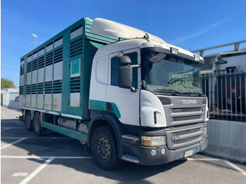 Caminhão transporte de gado SCANIA P 380