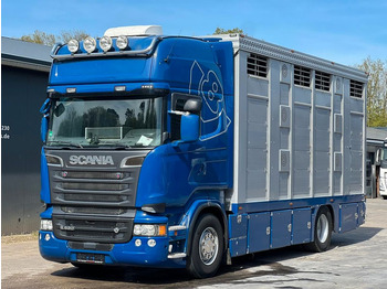 Caminhão transporte de gado SCANIA R 520