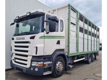 Caminhão transporte de gado SCANIA R 420
