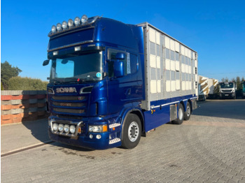 Caminhão transporte de gado SCANIA R 620